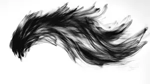 The Formless Way