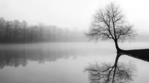 The Power of Silence