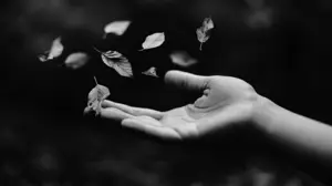 The Wisdom of Letting Go