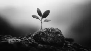 The Power of Subtle Action