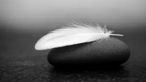 The Illness of Certainty