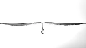 The Bow of Heaven